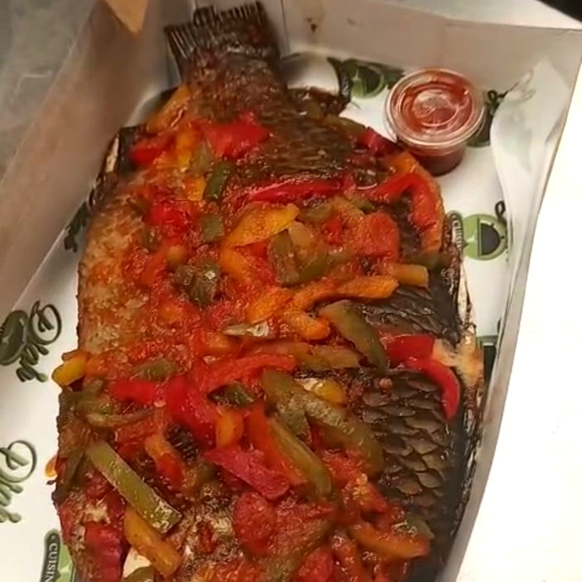 Tilapia Fish